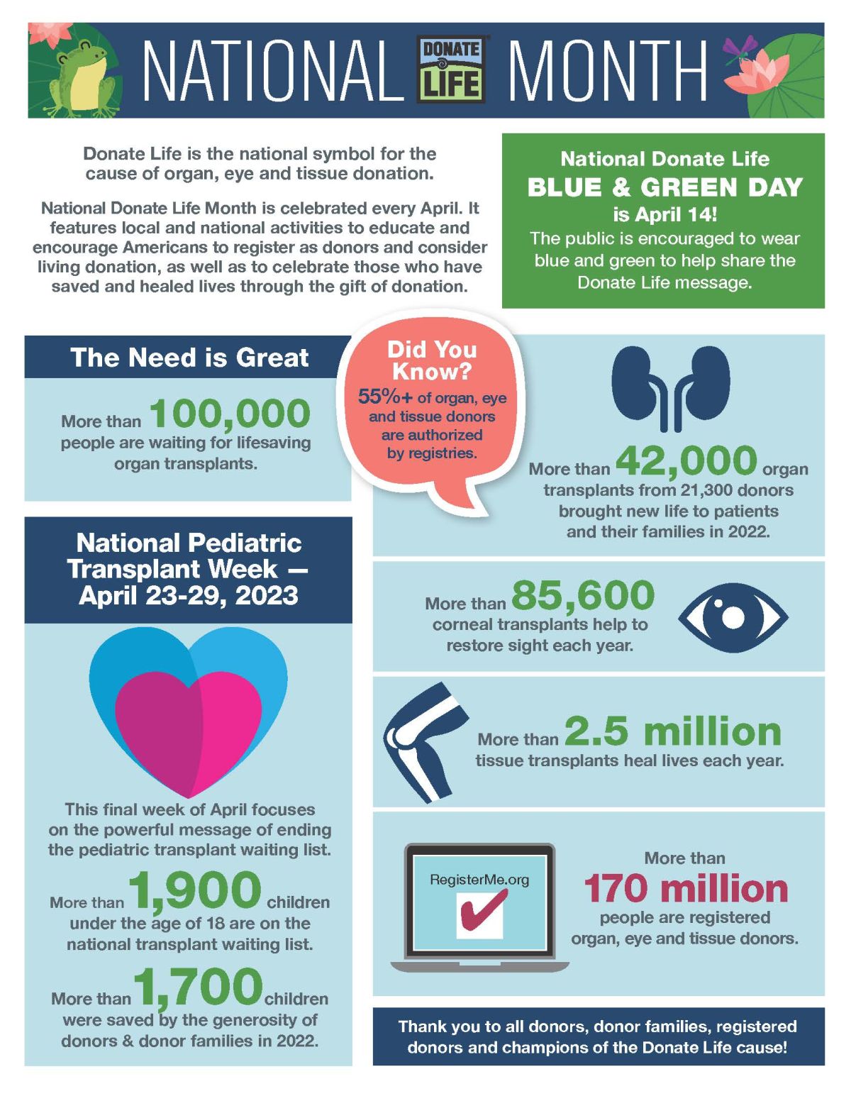 organ donation infographic